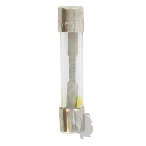 [270-5996] Fusible de protection SFE 20 A - diam : 6 35mm, 2705996, 270-5996