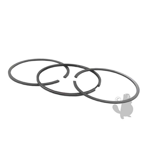 [499425.] Jeu de segments adaptables pour moteurs BRIGGS et STRATTON des séries 11A 11C 11600. Remplace orig, 5707209, 570-7209