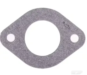 Joint d'étanchéité de l'admission Briggs and Stratton 594204, BS594204, BS-594204