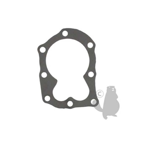 [270341] Joint de culasse graphite adaptable pour moteur BRIGGS et STRATTON pour 09K502 09L502 09T501. Remp, 5401301
