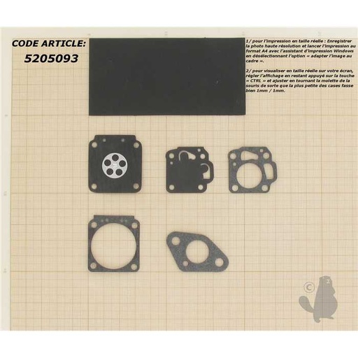 [520-5093] Kit membranes et Joints adaptable pour carburateur NIKKI monté sur Mitsubishi T300 et plus., 5205093, 520-5093