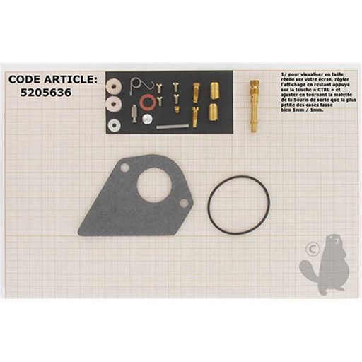 [498116.] Kit de réparation carburateur adaptable BRIGGS et STRATTON pour moteurs DIAMOND I/C 15 5 cv VANGUAR, 5205636, 520-5636