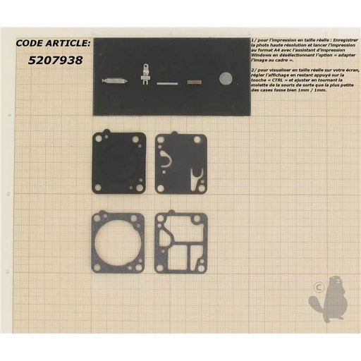 [RB-19] Kit réparation adaptable pour carburateur monté sur ECHO CS4600 Mc CULLOCH 110 120. Remplace origi, 5207938, 520-7938