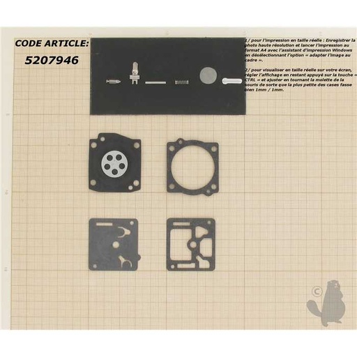 [RB-30] Kit réparation adaptable pour carburateur C1U monté sur Green Machine Solo 644 et autres. Remplace, 5207946, 520-7946