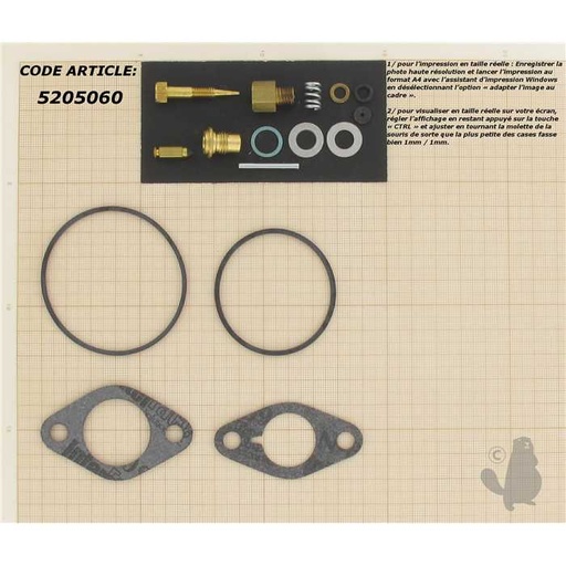 [520-5060] Kit réparation adaptable ONAN pour modèles AK AJ L K NH et NHC à Carburateur Walbro LMG et TECUMS, 5205060, 520-5060