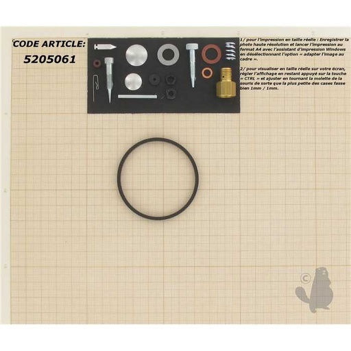 [631782] Kit réparation adaptable TECUMSEH pour carburateur H25-70 LAV25-35 HS HM40-70 V et VH50-70. Remp, 5205061, 520-5061