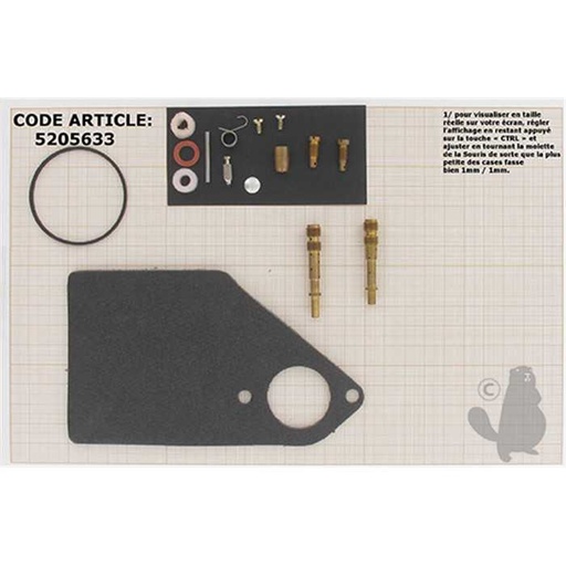 [497041] Kit de réparation carburateur adaptable BRIGGS et STRATTON pour moteurs 176400 192400 196400 1974, 5205633, 520-5633, 497578.