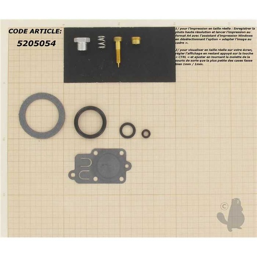 [494625.] Kit réparation carburateur adaptable pour BRIGGS et STRATTON 5 ch. verticaux à Carburateur Pulsa-Jet, 5205054, 520-5054