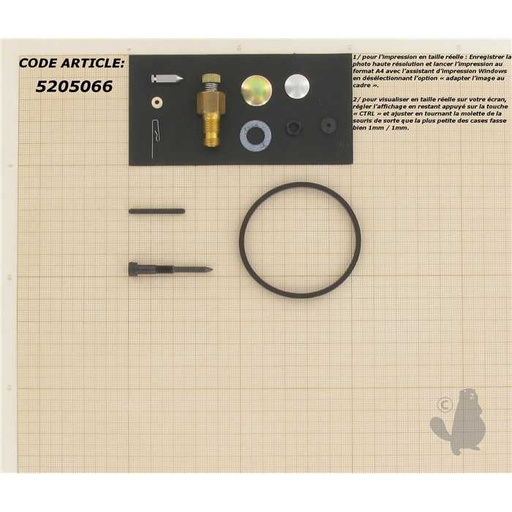[31840.] Kit réparation carburateur adaptable pour TECUMSEH H25-70 LAV25-30 HS HM40-70 V VH50-70 et TVS, 5205066, 520-5066