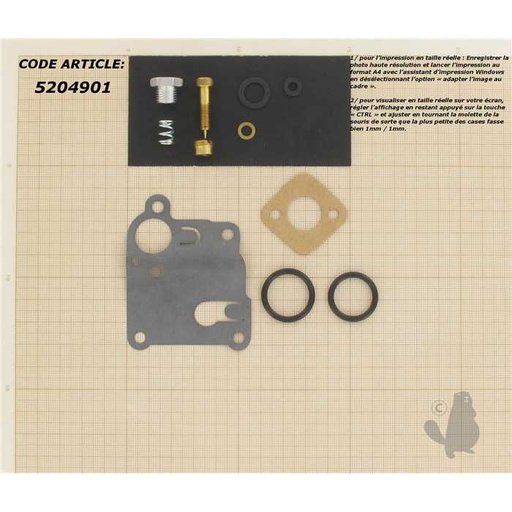 [520-4901] Kit réparation carburateur adaptable pour BRIGG et STRATTON modèles NOUVEAU Pulsa-Jet - 82500 82900, 5204901, 520-4901