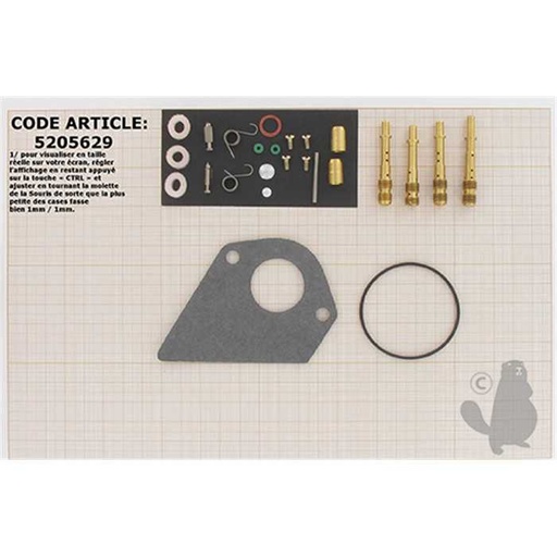 [4] Kit de réparation carburateur adaptable BRIGGS et STRATTON pour moteurs 4 temps 194700 195700 1967, 5205629, 520-5629