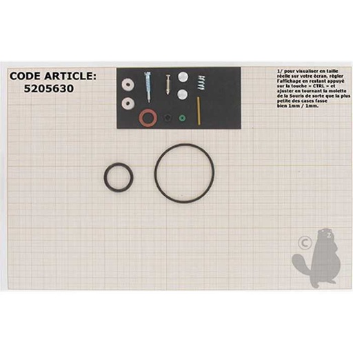 [492077] Kit de réparation carburateur adaptable BRIGGS et STRATTON pour moteurs 131700 à carburateur WALBRO., 5205630, 494349., 520-5630