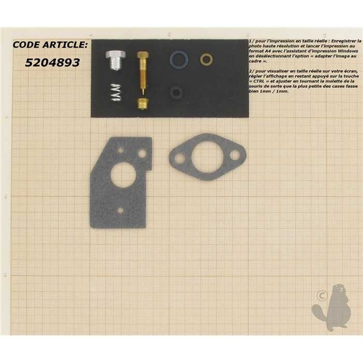 [520-4893] Kit réparation carburateur adaptable pour BRIGG et STRATTON modèles 1 degrés PULSA-JET - 5S 6BHS B, 5204893, 520-4893