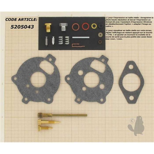 [295938] Kit réparation carburateur adaptable pour BRIGG et STRATTON. Remplace origine: 295938 291763 39469, 5205043, 394693., 520-5043, 291763