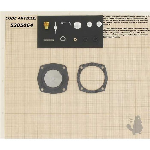 [631893] Kit réparation carburateur adaptable pour TECUMSEH H LAV V VH 22- 35 HS40 638 650 et 670.Rem, 5205064, 631131., 630974, 631892, 520-5064