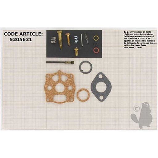 [398992.] Kit de réparation carburateur adaptable BRIGGS et STRATTON pour moteurs 3 et 3 5 cv à axe horizontal, 5205631, 520-5631