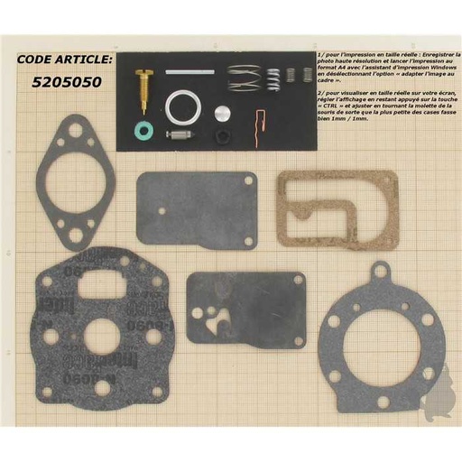 [694056] Kit Carburateur adaptable pour moteur BRIGG et STRATTON 400400 à 422700 16 et 18 ch. TWIN. Remplace, 5205050, 394502, 520-5050, 491539.