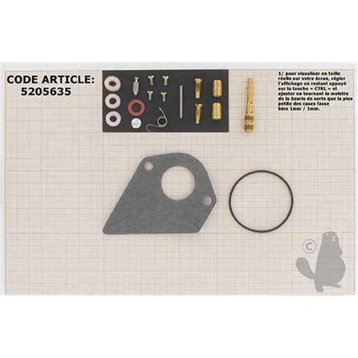 [497481] Kit de réparation carburateur adaptable BRIGGS et STRATTON pour moteurs I/C 12 5 cv silencieux DIAM, 5205635, 496622., 520-5635
