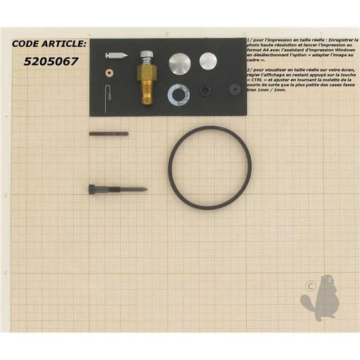 [631029.] Kit réparation carburateur adaptable pour moteur TECUMSEH. Remplace origine: 631029., 5205067, 520-5067
