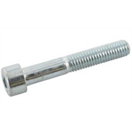 [9121065] Vis cylindrique 6 pan m10x65 8.8 zingue, 9121065